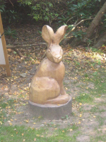 S16_5_Sitting Hare