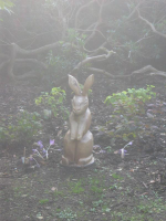 S16_6_Tall Hare