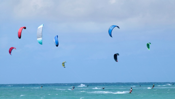 S161_02_Windsurfers